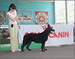 ������� �� ����������� ��� ����������
��������: 131FKCTxg.jpg
����������: 1384
������:	360.8 ��
ID:	2321