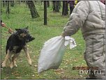 ������� �� ����������� ��� ����������
��������: IMG_2856.JPG
����������: 1465
������:	58.3 ��
ID:	2326