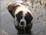 ������� �� ����������� ��� ����������
��������: IMG_0207.jpg
����������: 1683
������:	329.0 ��
ID:	2610